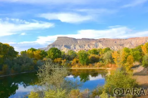 599 36 Rd, Palisade, CO 81526 photo 35