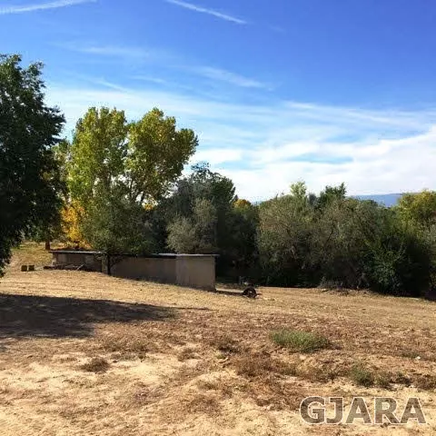 599 36 Rd, Palisade, CO 81526 photo 23