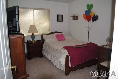 304 Poplar Dr, Fruita, CO 81521 photo 24
