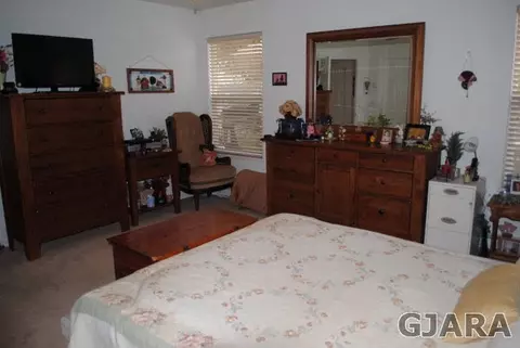 304 Poplar Dr, Fruita, CO 81521 photo 20
