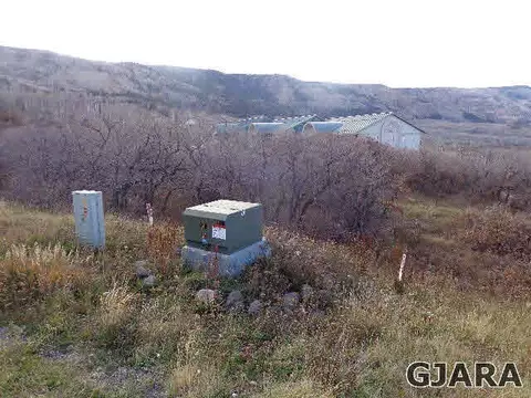 409 Coyote Run, Mesa, CO 81643 photo 4
