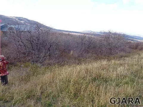 409 Coyote Run, Mesa, CO 81643 photo 2