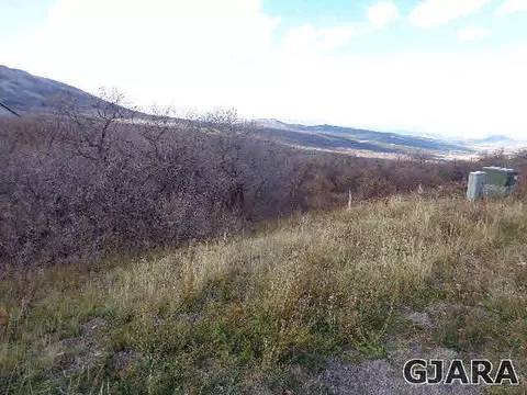 409 Coyote Run, Mesa, CO 81643 photo 3