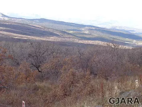 409 Coyote Run, Mesa, CO 81643 photo 1