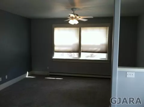1119 Primrose Ln, Fruita, CO 81521 photo 4