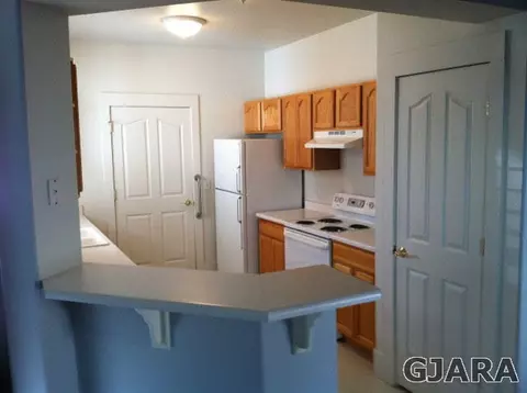 1119 Primrose Ln, Fruita, CO 81521 photo 3