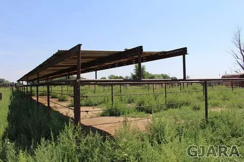 2036 J Rd, Fruita, CO 81521 photo 6