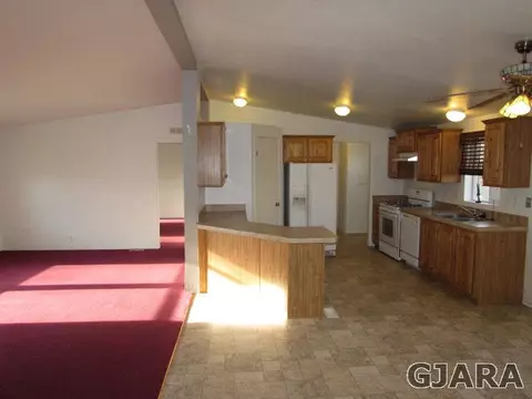 1013 Moro Castle Ave, Mack, CO 81525 photo 2