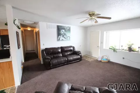 312 E Concord Dr, Fruita, CO 81521 photo 3