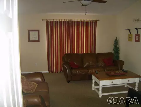 699 Taurus Ave, Fruita, CO 81521 photo 3