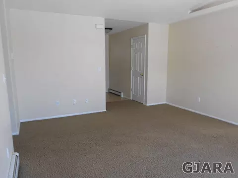 699 Taurus Ave, Fruita, CO 81521 photo 6