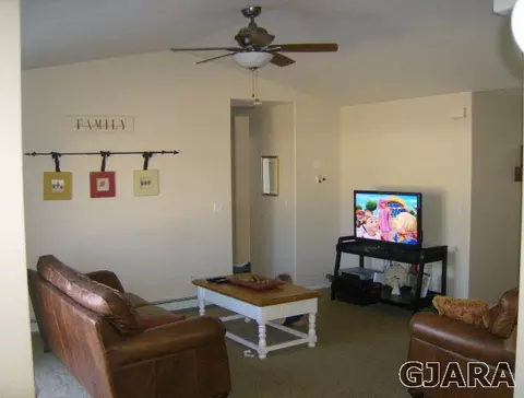 699 Taurus Ave, Fruita, CO 81521 photo 5