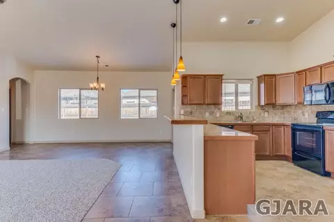 919 St Peppin Dr, Fruita, CO 81521 photo 3