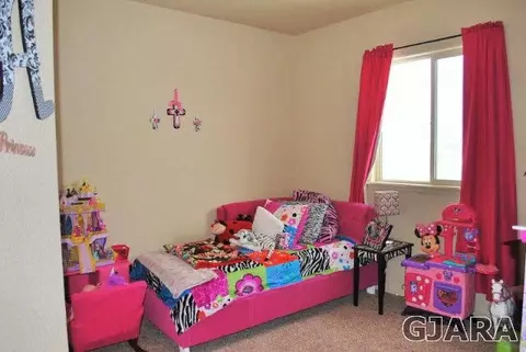 2020 Roma Ave, Fruita, CO 81521 photo 7