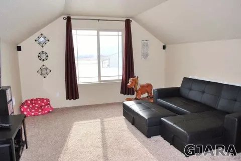 2020 Roma Ave, Fruita, CO 81521 photo 8