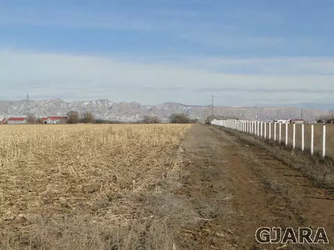1260 18 12 Rd, Fruita, CO 81521 photo 5