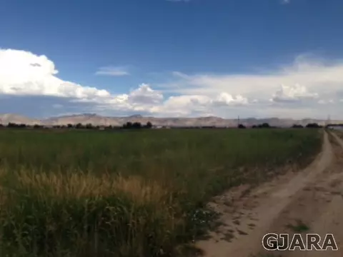 1260 18 12 Rd, Fruita, CO 81521 photo 2