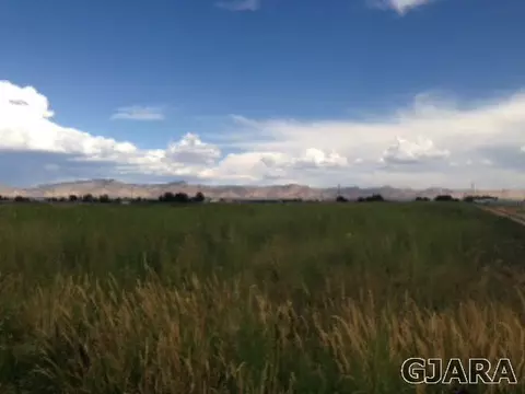 1260 18 12 Rd, Fruita, CO 81521 photo 3