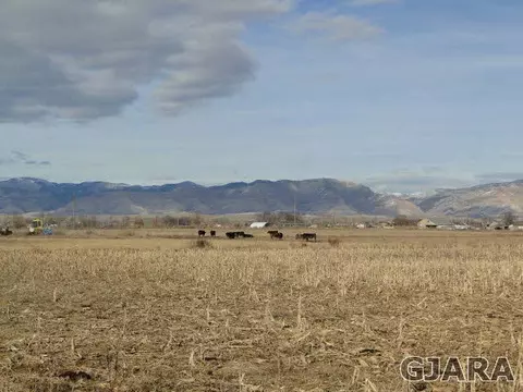 1260 18 12 Rd, Fruita, CO 81521 photo 4