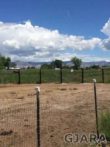 1002 19 Rd, Fruita, CO 81521 photo 8