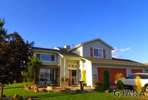 1411 Drumlin St, Fruita, CO 81521 photo 1
