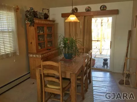 1411 Drumlin St, Fruita, CO 81521 photo 8