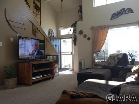 1411 Drumlin St, Fruita, CO 81521 photo 9