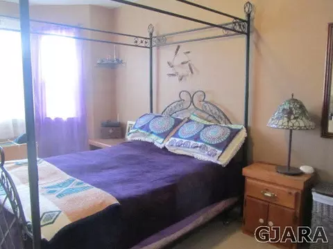 533 Mica Dr, Fruita, CO 81521 photo 7