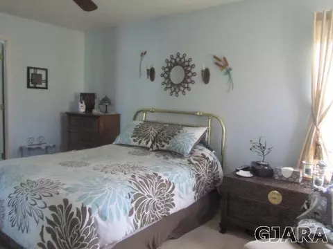 533 Mica Dr, Fruita, CO 81521 photo 6