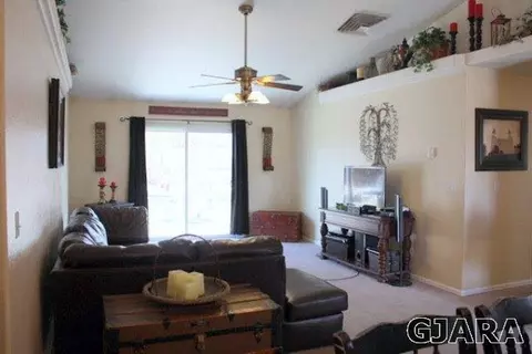 672 Andromeda Way, Fruita, CO 81521 photo 5