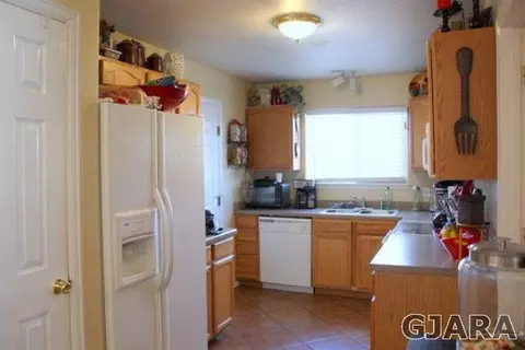 672 Andromeda Way, Fruita, CO 81521 photo 6