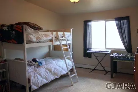 1255 Carolina Ave, Fruita, CO 81521 photo 9