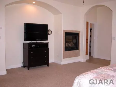 1387 Horseshoe Dr, Fruita, CO 81521 photo 13