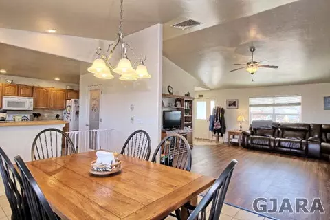 917 Elberta Dr, Fruita, CO 81521 photo 5