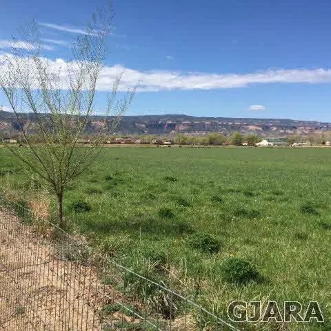 1055 Wingate Dr, Fruita, CO 81521 photo 4