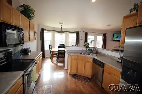 741 Silver Plume Dr, Fruita, CO 81521 photo 3