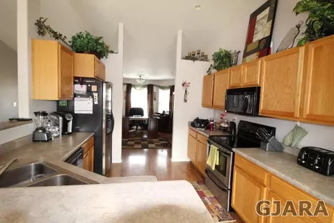 741 Silver Plume Dr, Fruita, CO 81521 photo 4