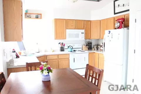 1414 Drumlin St, Fruita, CO 81521 photo 2
