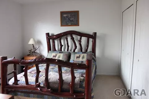 1414 Drumlin St, Fruita, CO 81521 photo 8