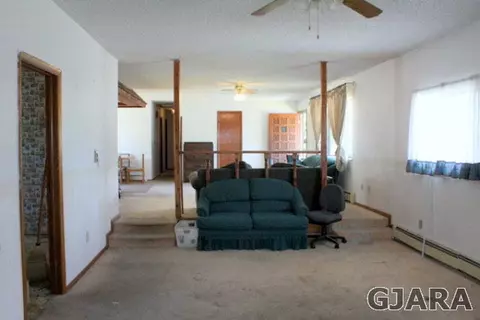 332 N Peach Way, Fruita, CO 81521 photo 9