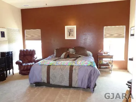 642 Celestite Dr, Fruita, CO 81521 photo 5