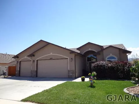 642 Celestite Dr, Fruita, CO 81521 photo 1