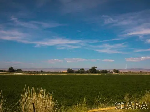 1450 20 Rd, Fruita, CO 81521 photo 2
