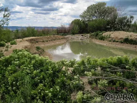 1450 20 Rd, Fruita, CO 81521 photo 4