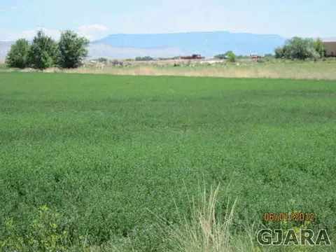 1450 20 Rd, Fruita, CO 81521 photo 1