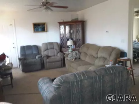 910 Carolina Ave, Fruita, CO 81521 photo 2