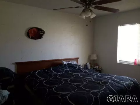 910 Carolina Ave, Fruita, CO 81521 photo 3