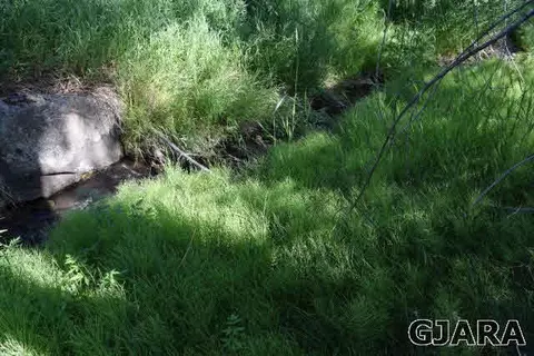 9999 48 Rd, Mesa, CO 81643 photo 7