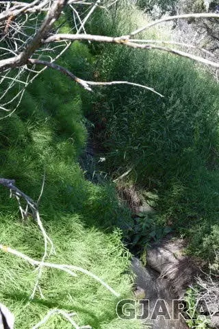 9999 48 Rd, Mesa, CO 81643 photo 8