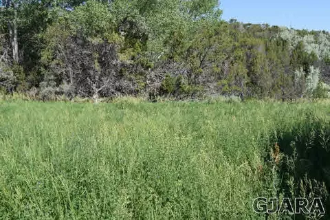 9999 48 Rd, Mesa, CO 81643 photo 5